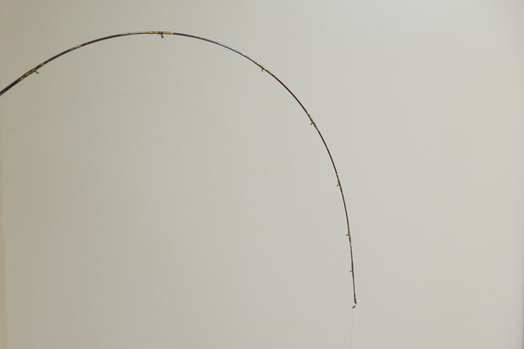 涸沼 釣りと釣り竿 | ラムサール条約登録湿地 涸沼