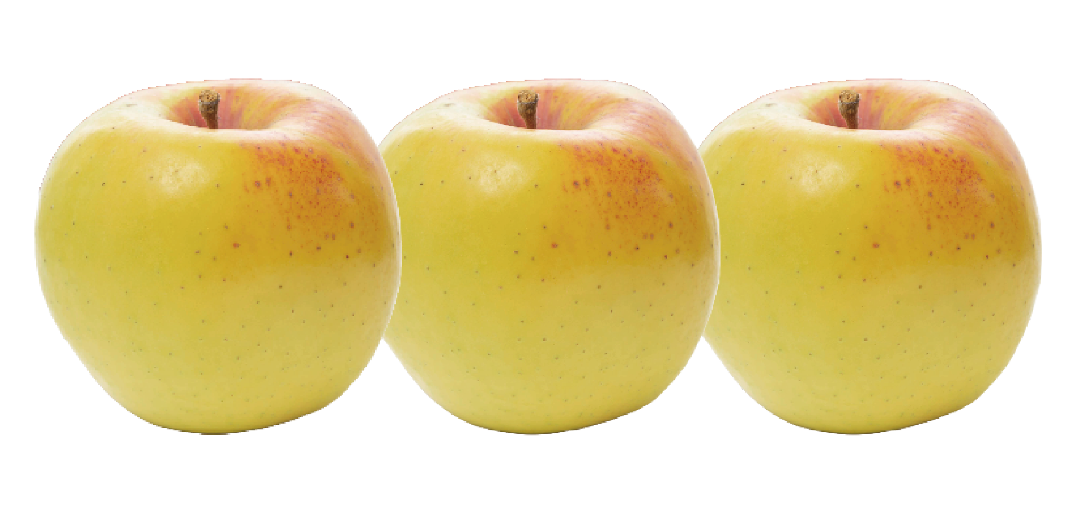 プレミアム3種詰め合わせ（ふじ、王林、ぐんま名月） | 産地直送通販