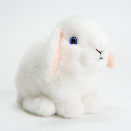 6160 たれ耳うさぎの子・白：おもちゃ：百町森