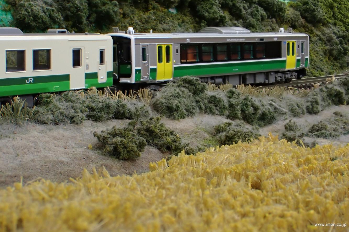 キハE120新塗装（緑）只見線 2両 | 鉄道模型店 Models IMON