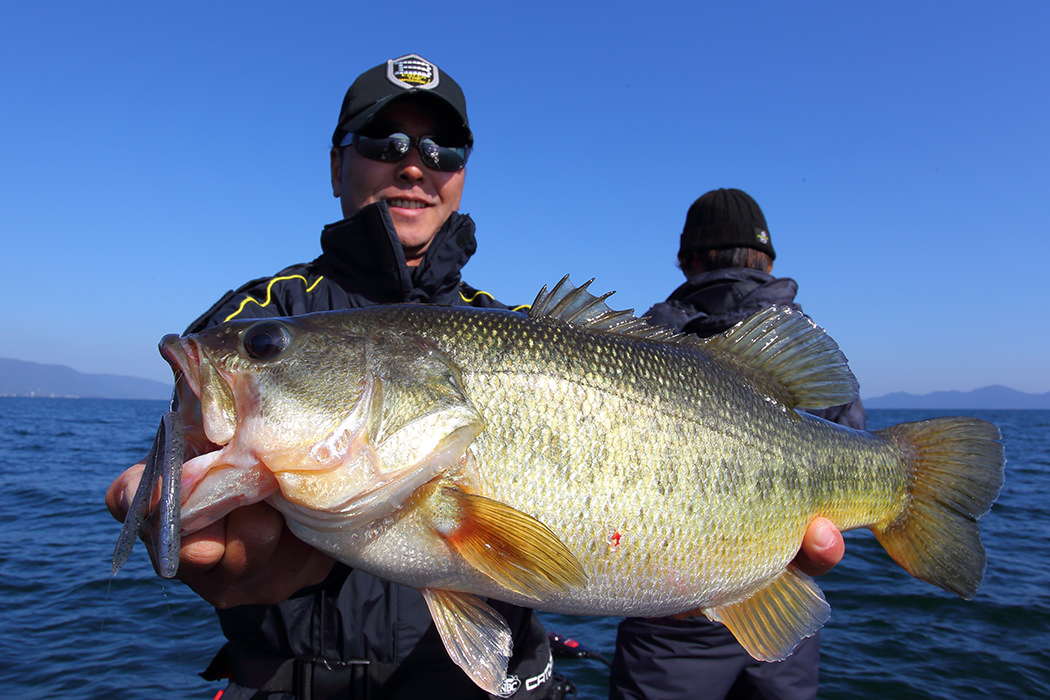 ロデオライド リバイバー 68ML South Carolina | IMAKATSU