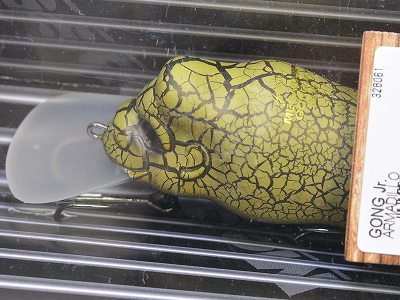 MEGABASS / GONG JR | IchibanTackle.com