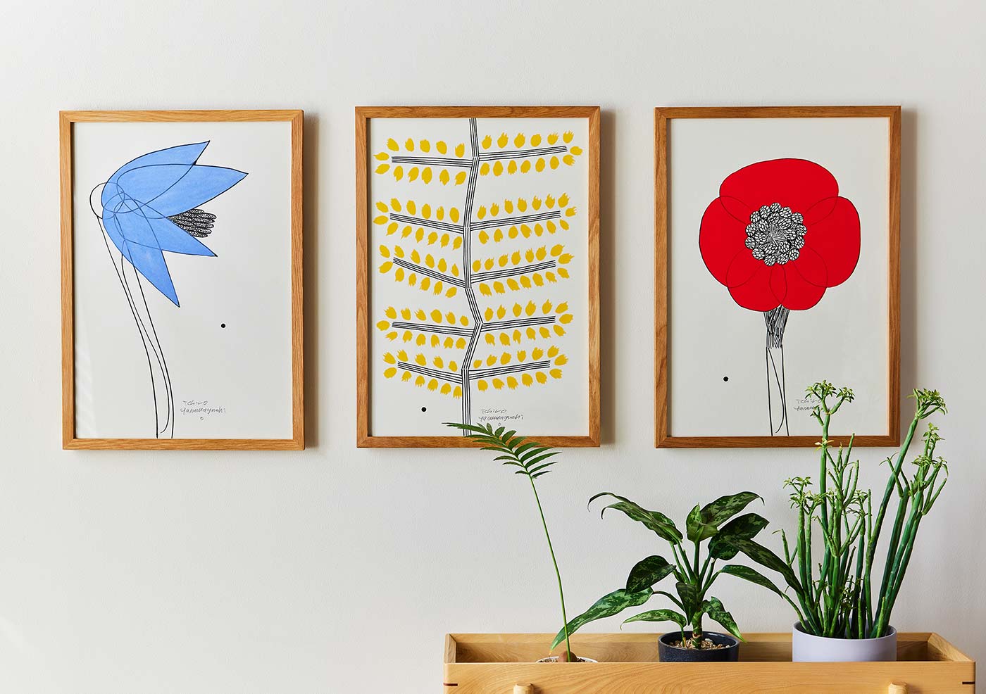 Ichiro Yamaguchi 山口 一郎｜IDEE SHOP Online