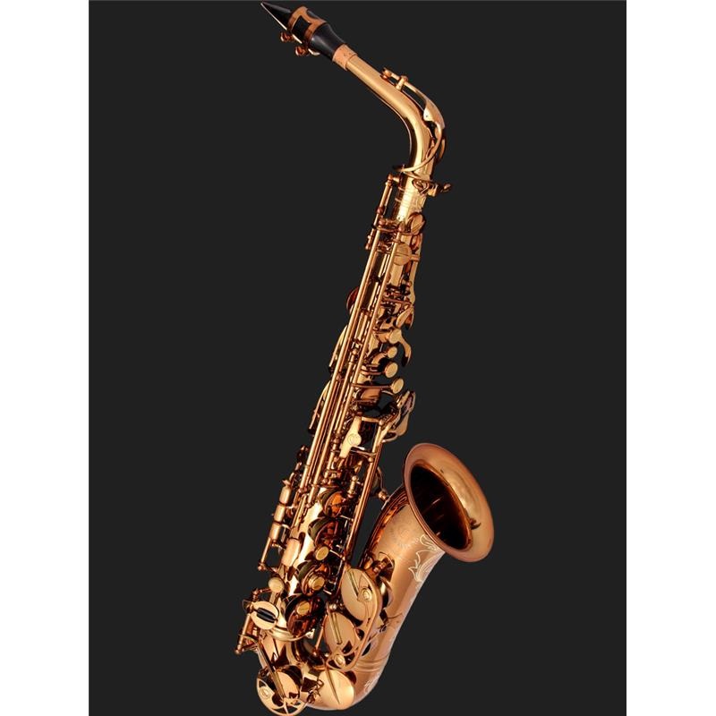 Cannonball 【お取り寄せ商品】アルトサックス キャノンボール AVR-L