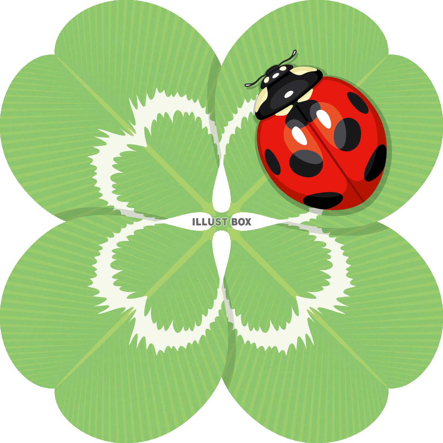 四つ葉のクローバー てんとう虫：イラスト無料