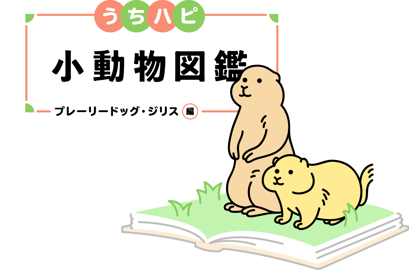 うちハピ小動物図鑑-プレーリードッグ・ジリス編-｜うちの子 HAPPY PROJECT
