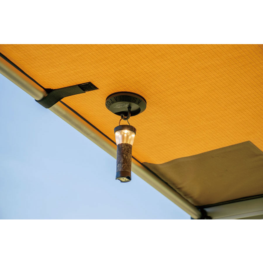 IPFオフィシャルECショップ / IPF x ASOMATOUS コラボレーションモデル