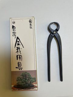 昌国 コブ切 ｜ 盆栽ネットワーク・ジャパン