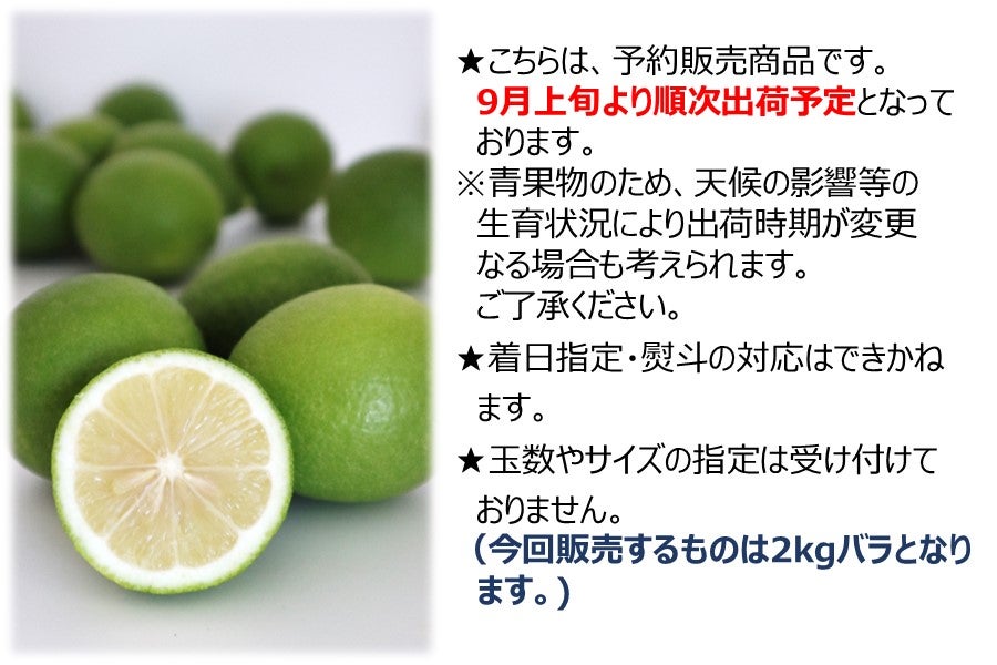 長崎県産 グリーンレモン（JA島原雲仙）: もぐもぐながさき|【JA