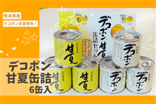 デコポン甘夏缶詰セット(6缶): you+youくまもと 農畜産物市場|【JA