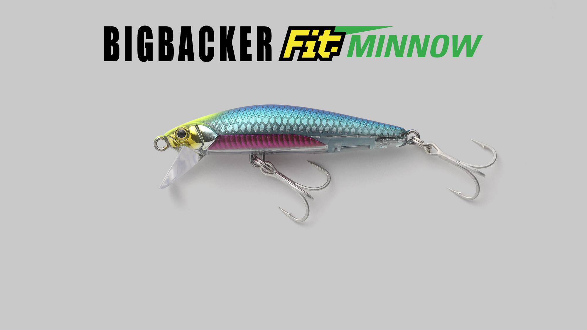 BIGBACKER Fit MINNOW - SALT WATER 海釣り｜JACKALL｜ジャッカル｜ルアー