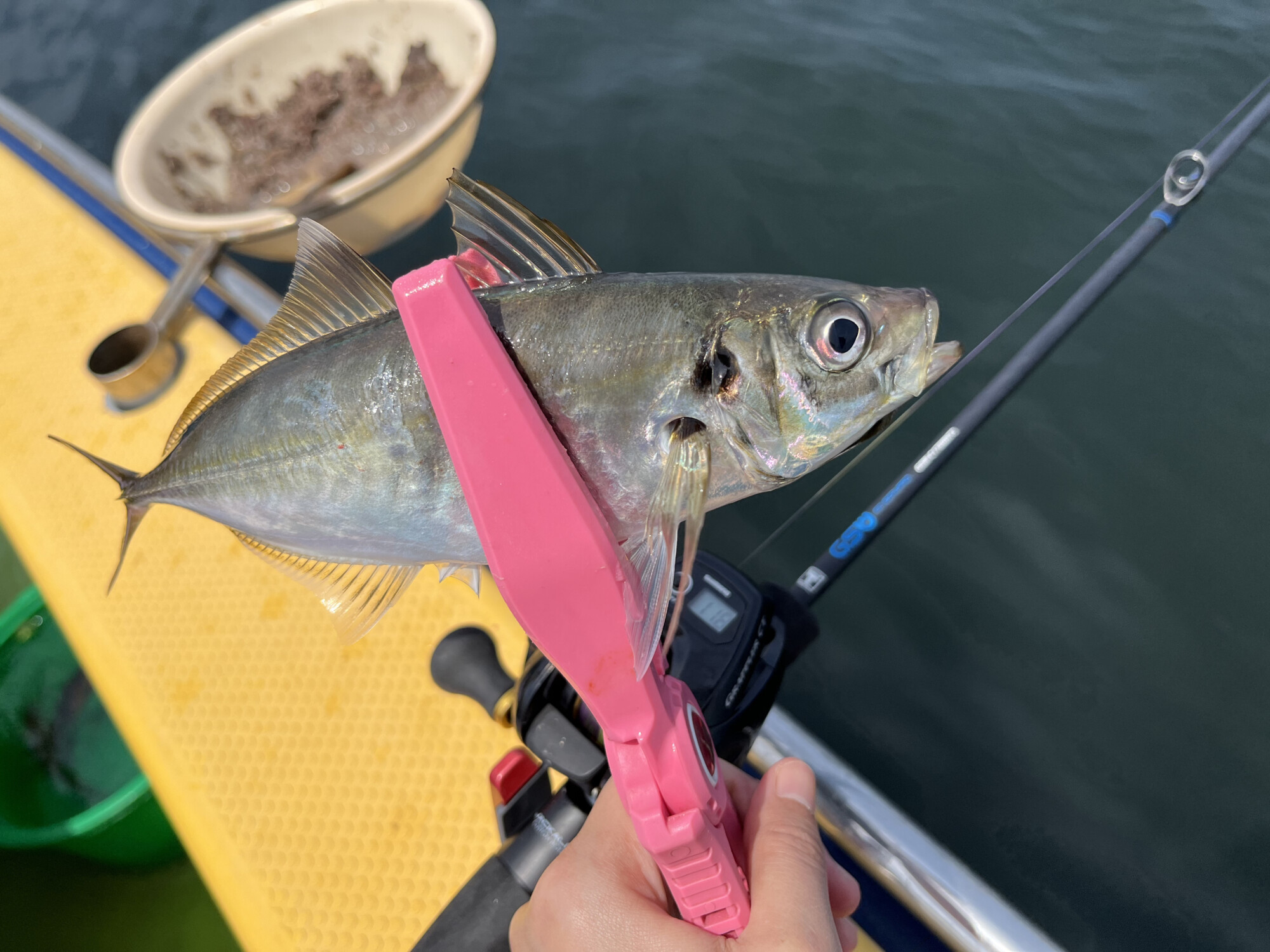 GSW - SALT WATER 海釣り｜JACKALL｜ジャッカル｜ルアー