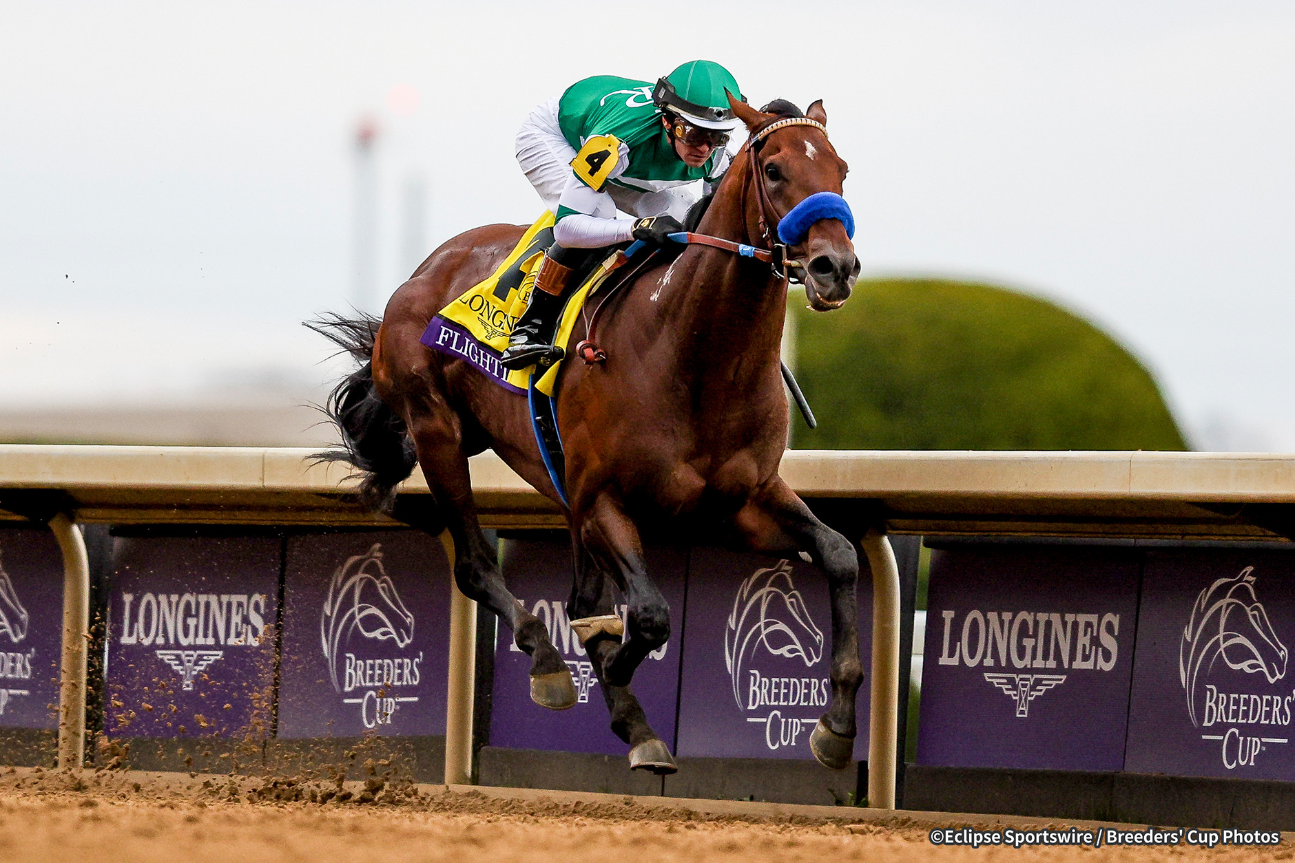 レース概要｜レース情報：2025年ブリーダーズカップクラシック 海外