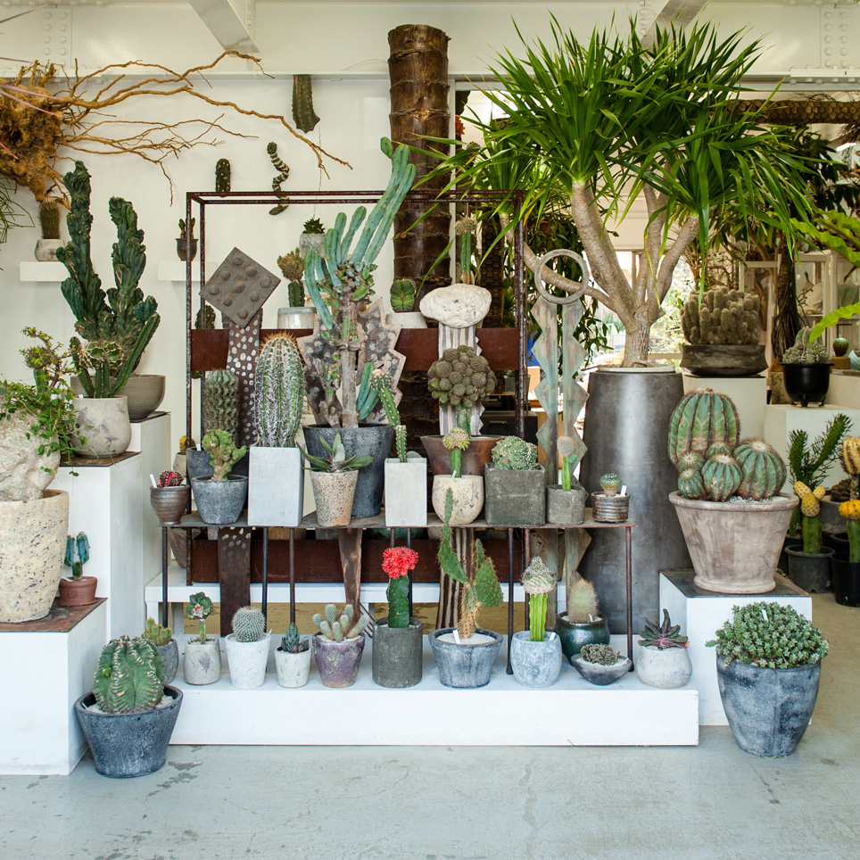 見て、聞いて、感じる。「体感」することが店舗に足を運ぶ醍醐味。［叢