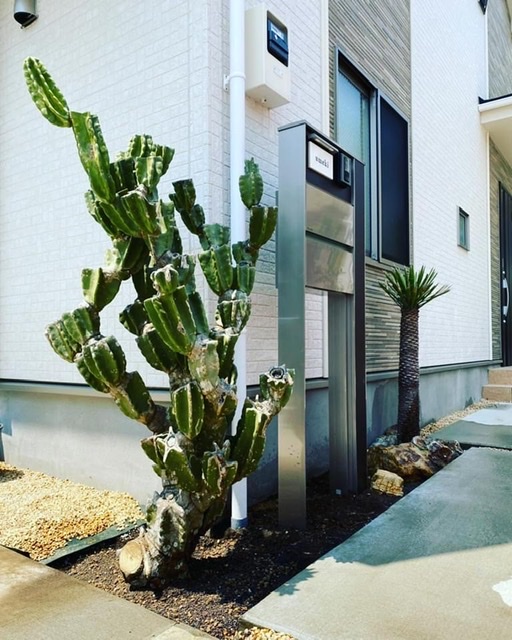 鬼面角ブランチ IN TOKYO−SETAGAYA | DESERT INC.