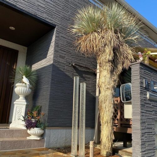 3F5B8CF1-0BFE-4FAD-A43F-