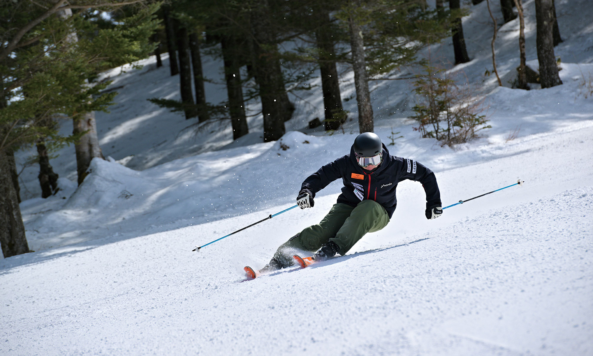 TC-S | オガサカスキー | アルペンスキー・ノルディックスキー・スキー
