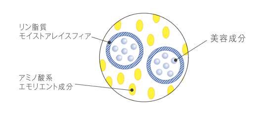 ホワイトニングローション｜化粧水｜LINEUP｜DRメディアッククリスタル