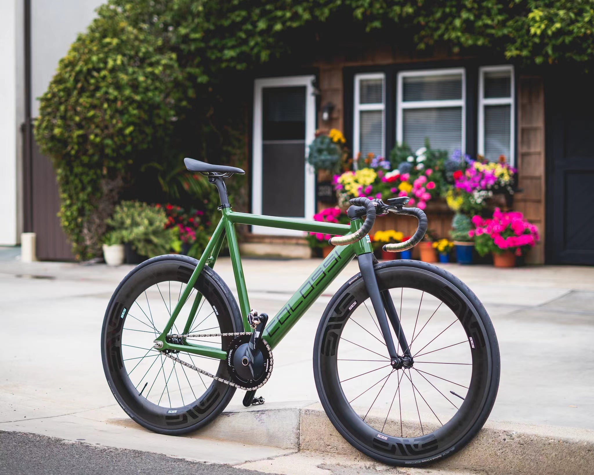 COLOSSI lowproフレーム＋a COLOSSI lowproフレーム＋a COLOSSI lowpro