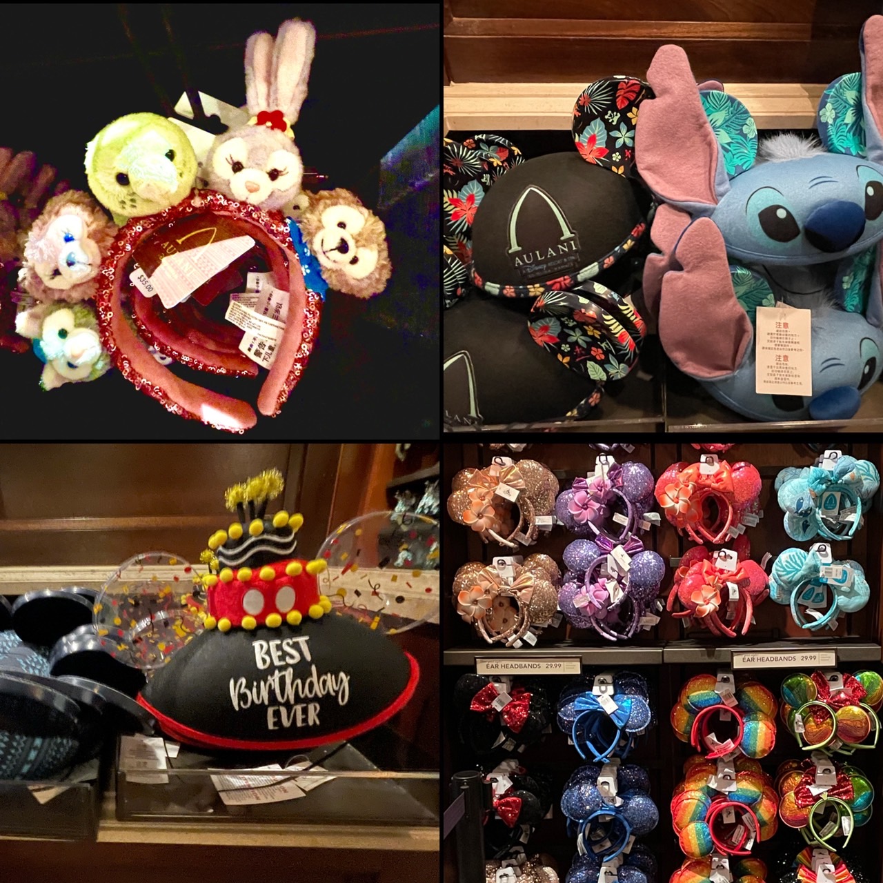 ミッキー&オルの特別映像付き】アウラニ・ディズニー・リゾートの10