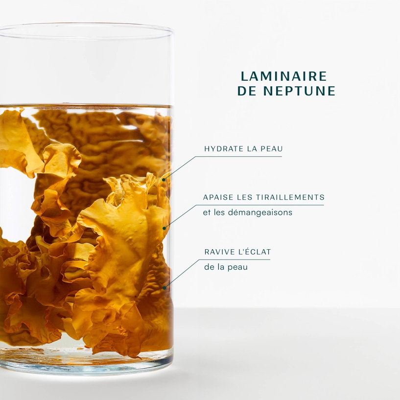 Cleansing Milk - Laboratoires de Biarritz