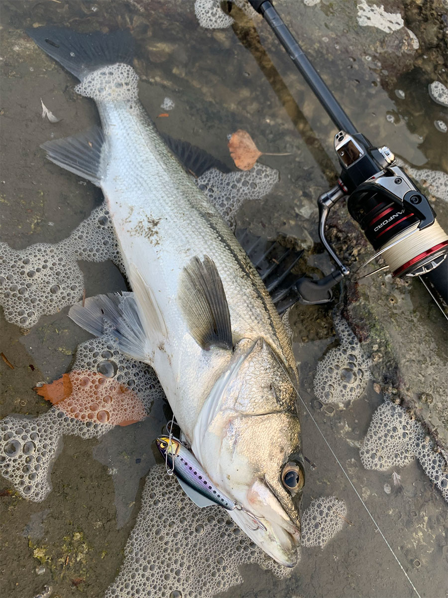 しなやかな剛竿！？空海CK-83XXHSのコンセプトとは？ | Megabass-メガバス