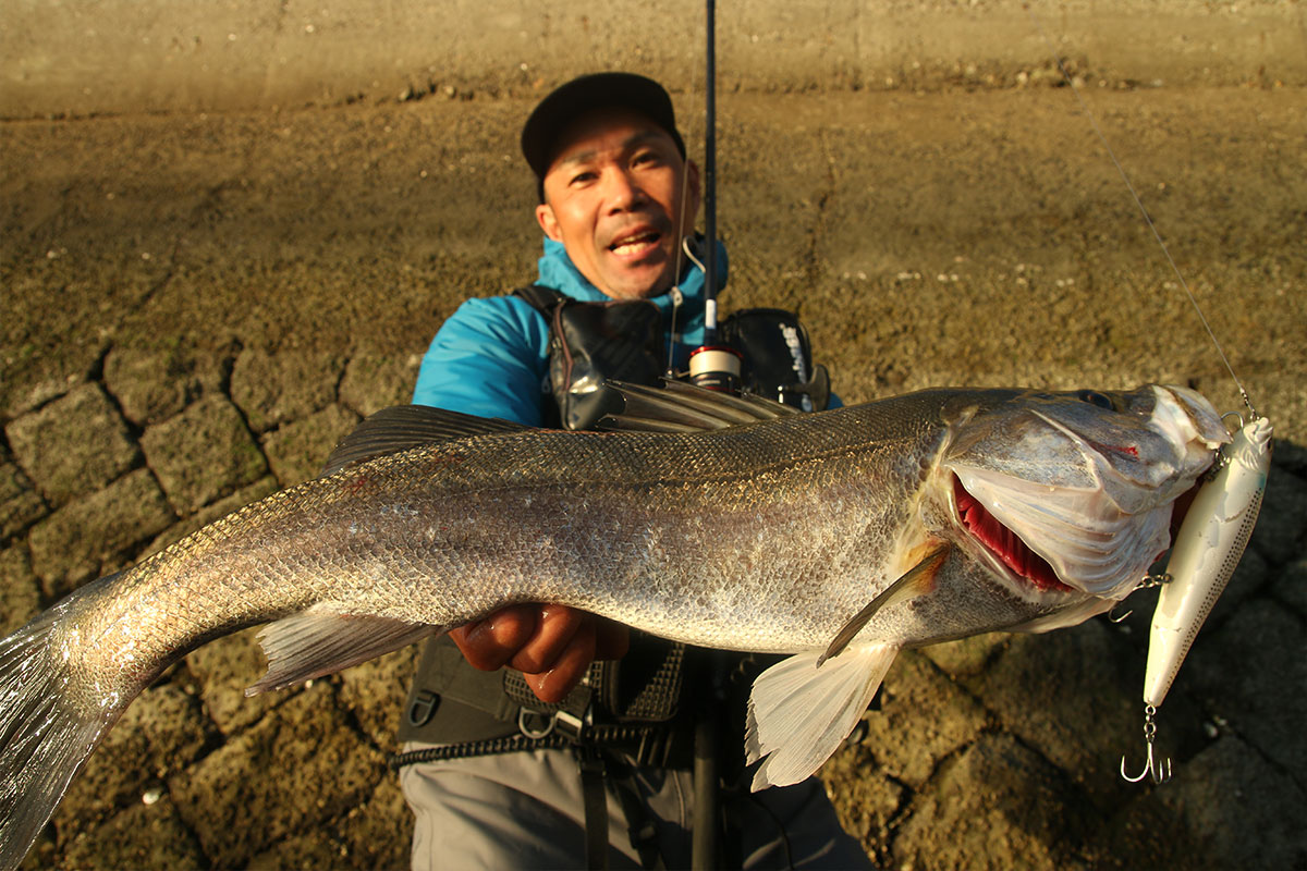 メガバス 空海 86L 未使用品 2026年最新】Yahoo!オークション