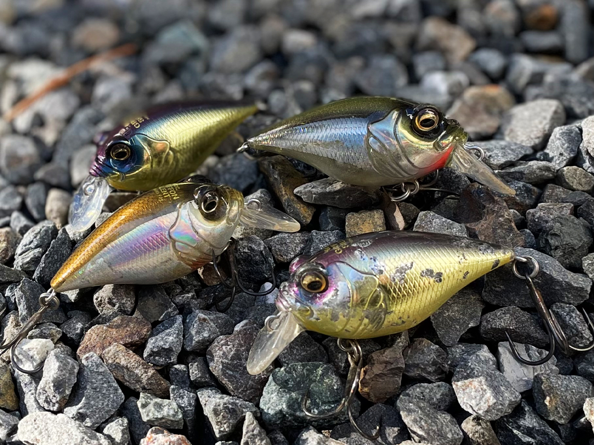 8年ぶりのモデルチェンジ！～3代目グリフォン！～ | Megabass-メガバス