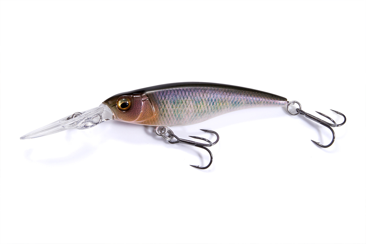 シャッドはトーナメントで最も出番の多いルアーの一つ | Megabass-メガバス
