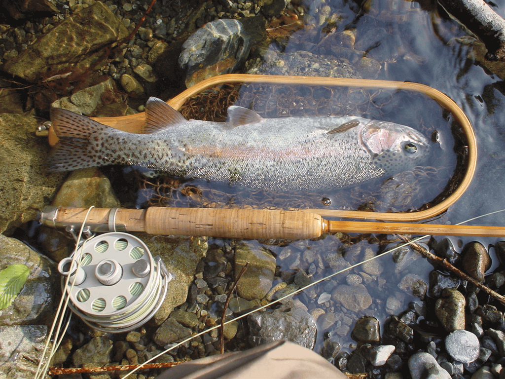 私の愛用ロッド - 宮崎ロッド・Prime Time バンブーロッド