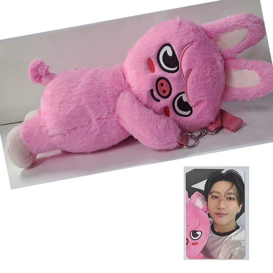 Stray Kids SKZOO Plush Bag celebrATE ( with Photocard from POP UP