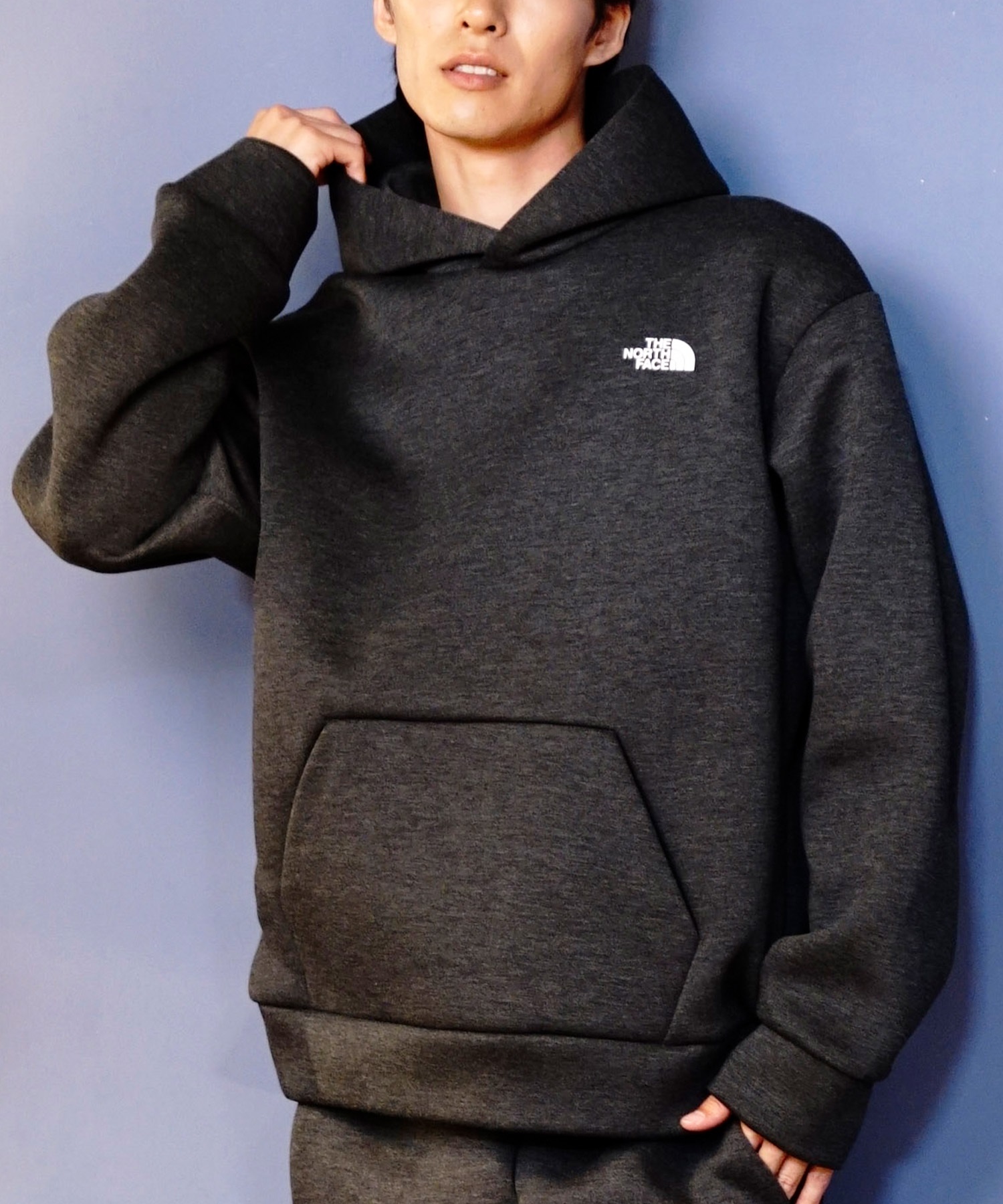 THE NORTH FACE ザ・ノース・フェイス パーカー プルオーバー メンズ