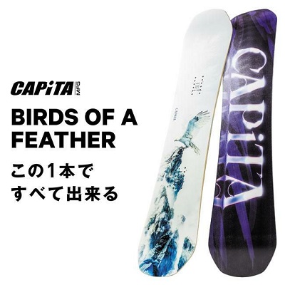CAPITA BIRDS OF A FEATHER・バーズ オブ ア フェザー】2025-2026