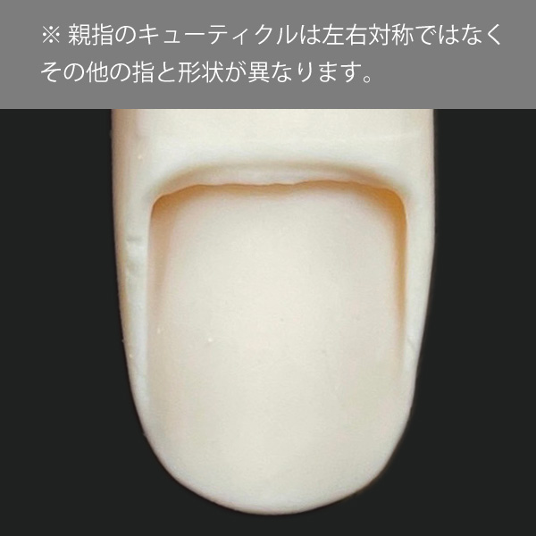 TAT - ST - ◇モデルハンド 左手