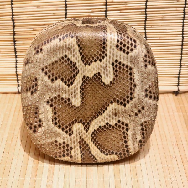アウトレット蛇皮チーガ08（強化張り：8分張り）｜蛇皮強化張りの
