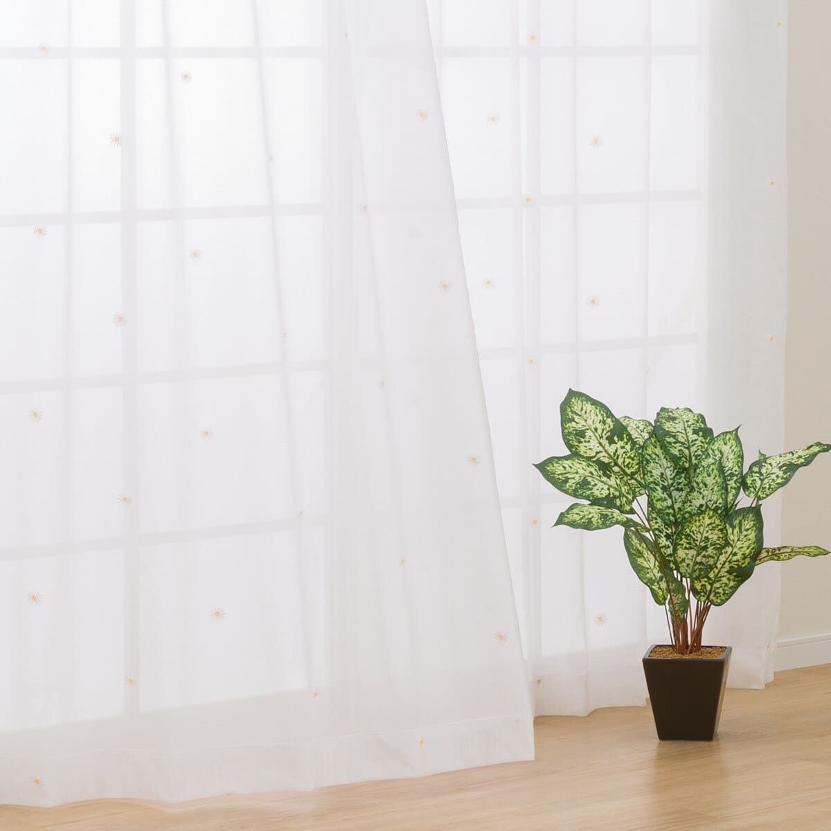 そらいろのたね レースカーテン オーナメント 100㎝×176㎝ 6枚 そらいろ