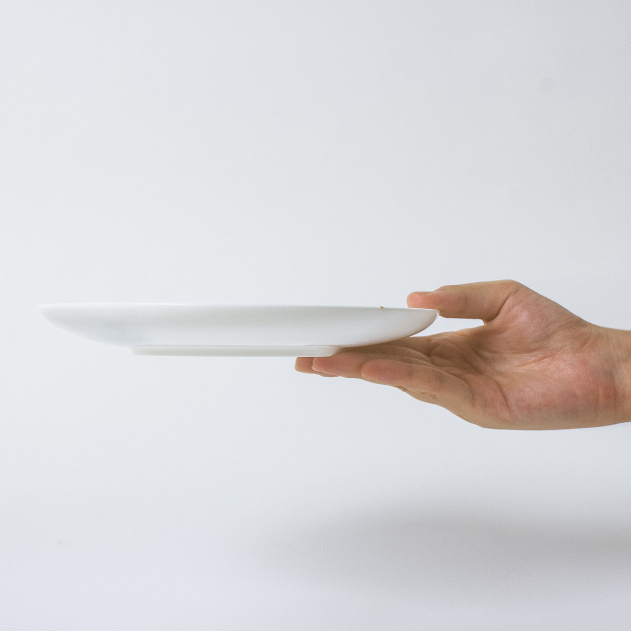 20.5cmプレート(2枚組) A2｜三谷産業様株主優待品｜ニッコー公式