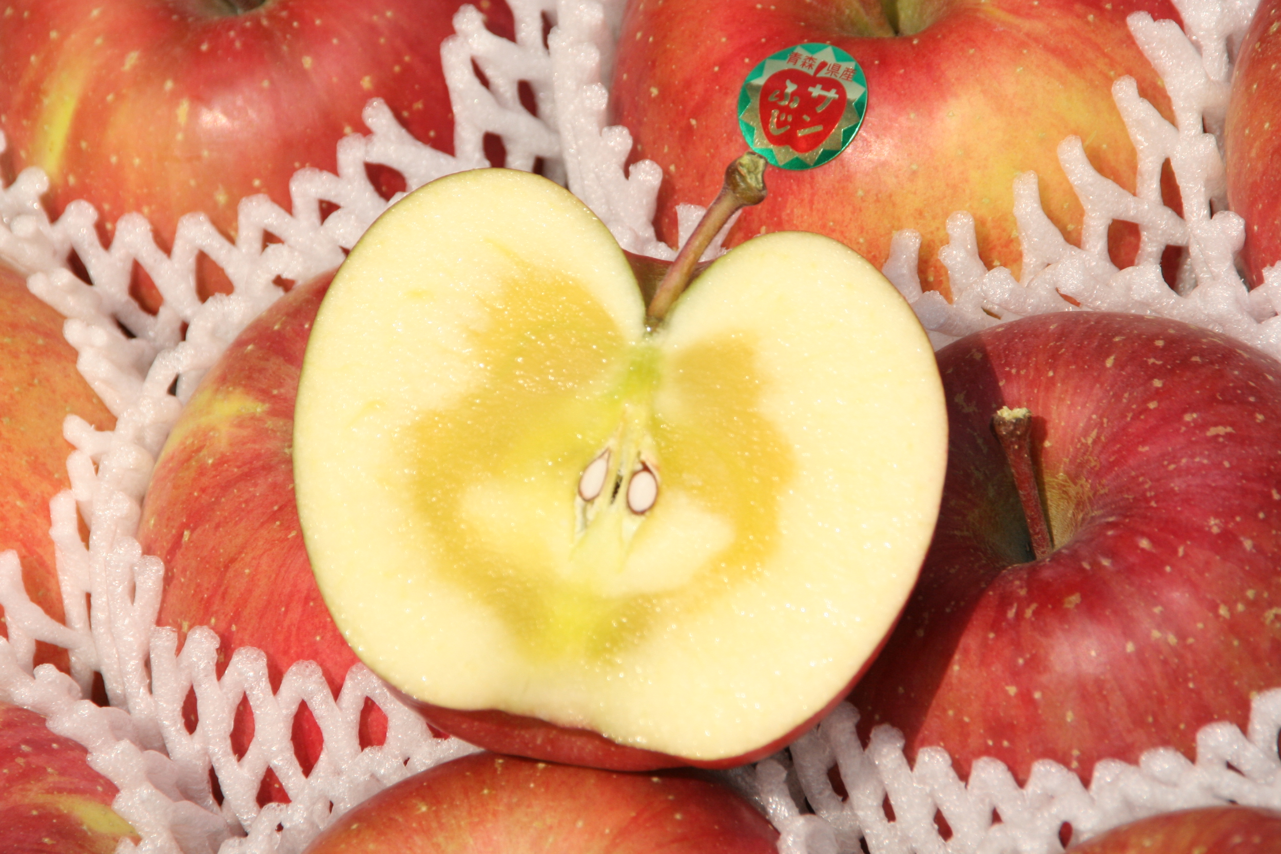 北国の風土と自然が育てた青森りんごの通販なら｜西村りんご園