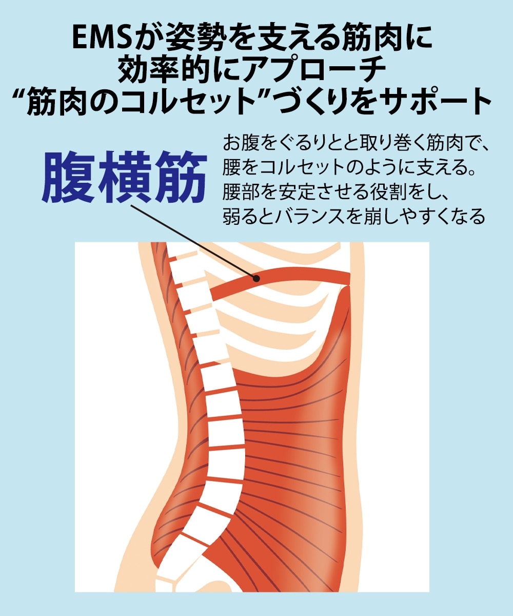 メディカラダ 腰用 EMSサポーター 通販【ニッセン】