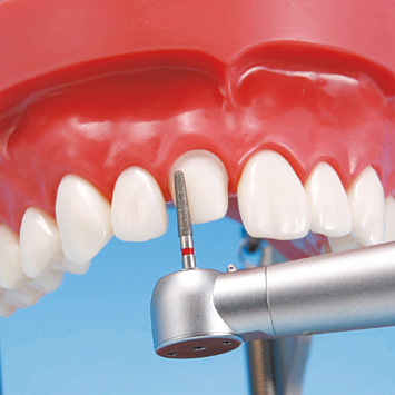 2色レジン製顎模型 [D51-500A-QF](咬合器なし)｜株式会社ニッシン