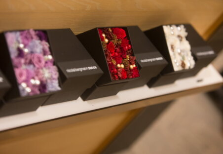 ZUCCa｜Nicolai Bergmann