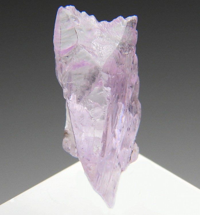 クンツァイト 255(蛍光) アフガニスタン - 鉱物標本・隕石標本販売の