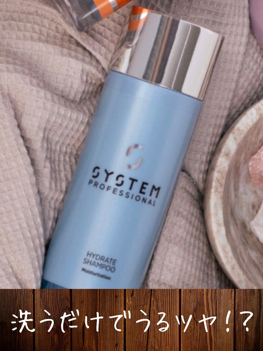 システムプロフェッショナル ハイドレイトシャンプー｜コラム 美容室