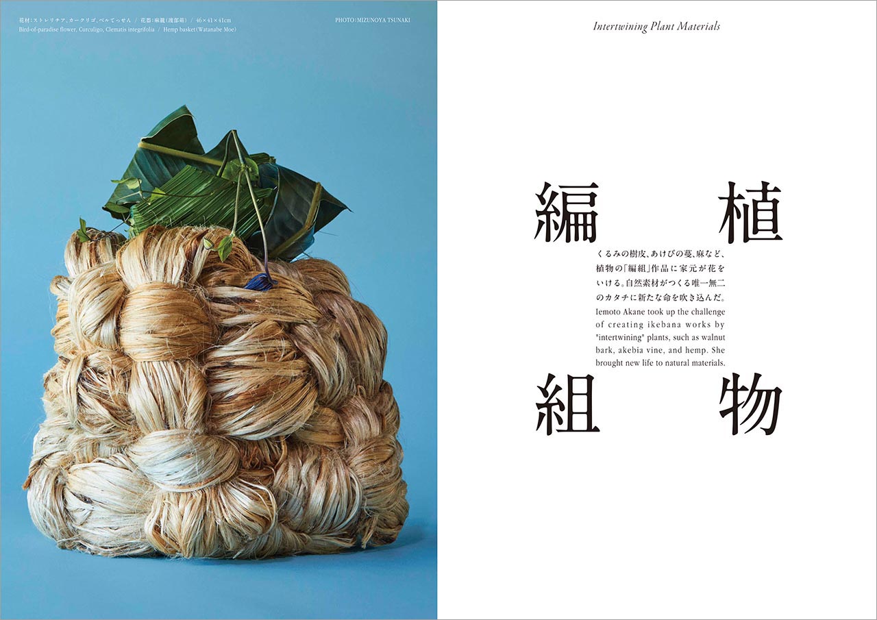 草月2023年夏号 | いけばな草月流