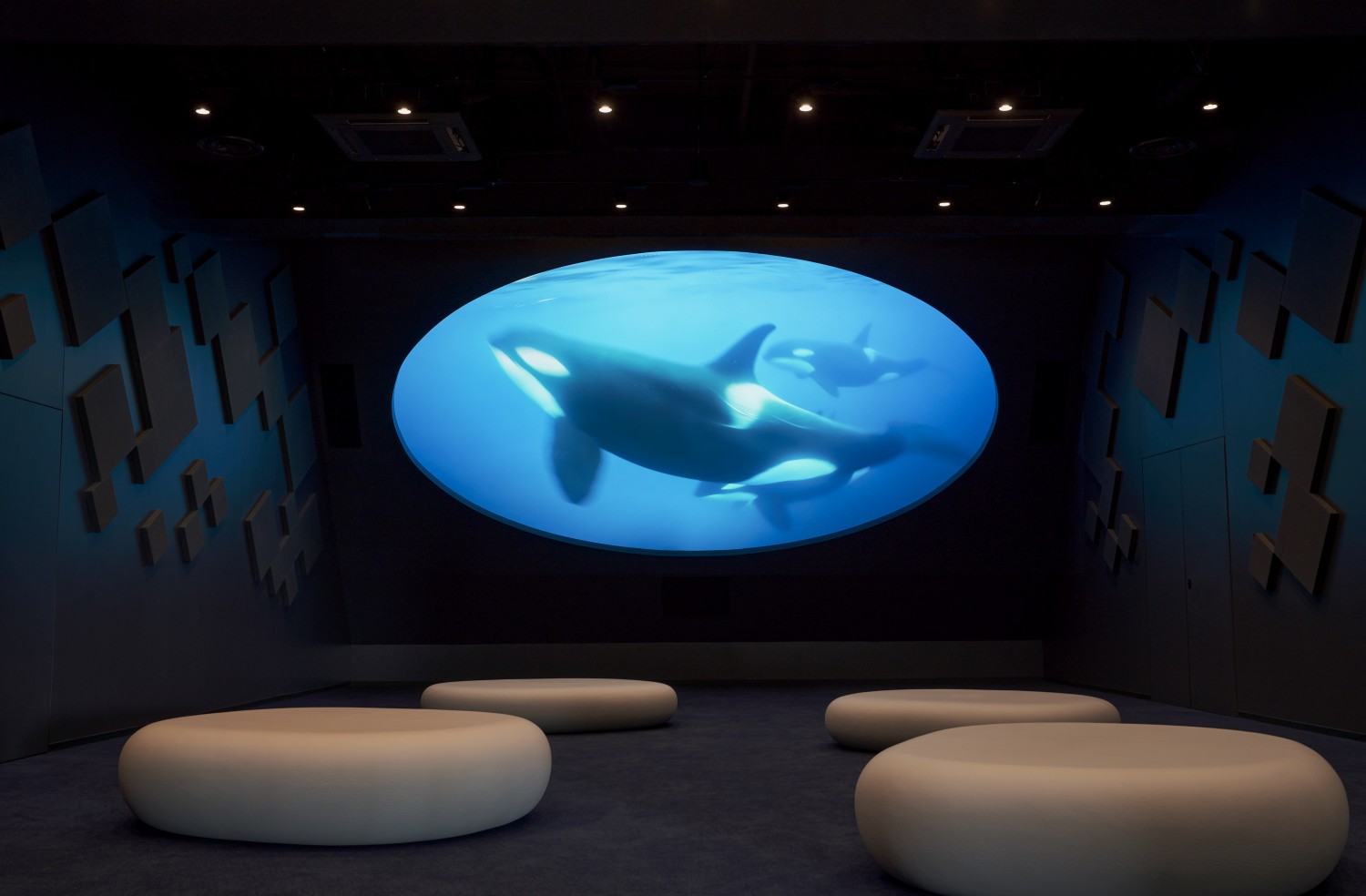 神戸須磨シーワールド「オルカラボ」、「オルカホール」 | 実績一覧