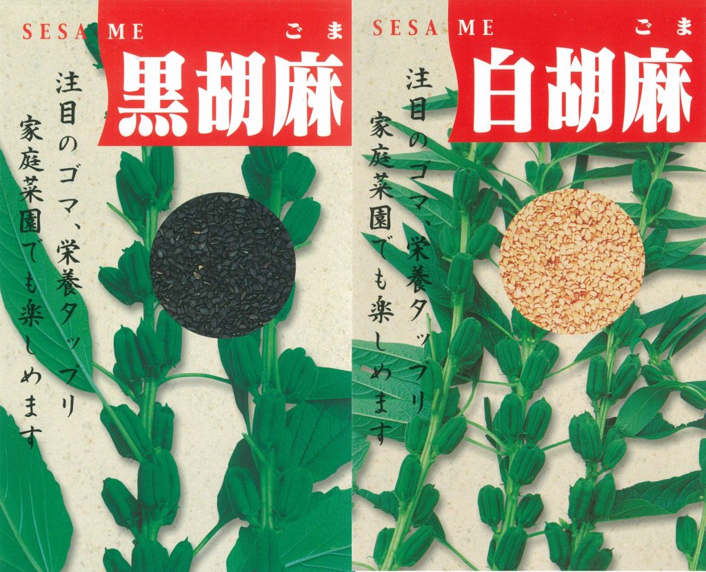 胡麻 | 佐藤政行種苗