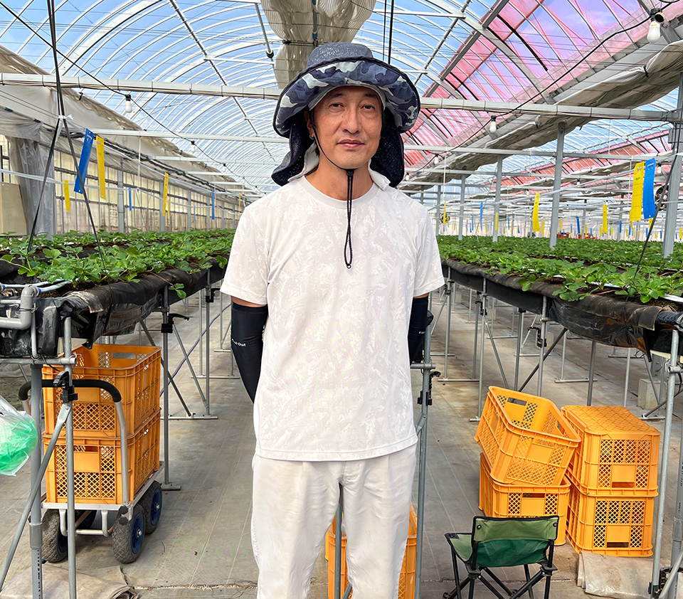 サカタマモルシリーズ｜サカタのタネ