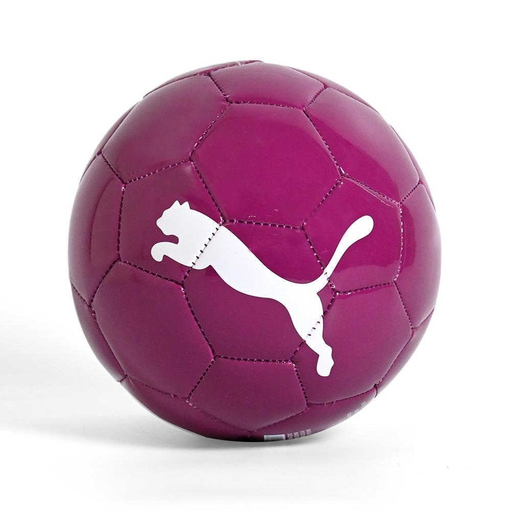 5/3(水・祝)川崎戦】オフィシャルグッズ新商品（SANGA MINI BALLほか