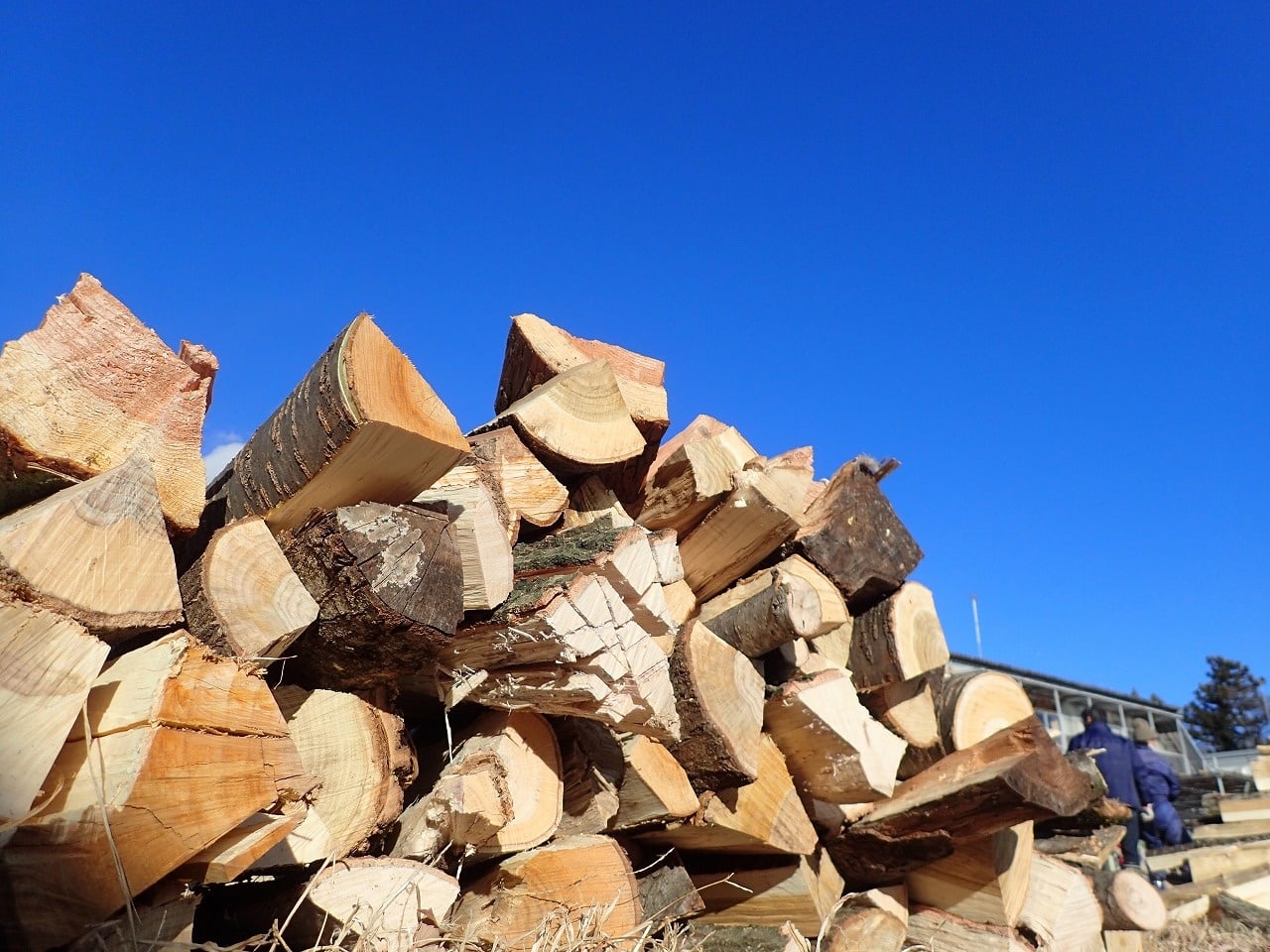 薪（広葉樹）軽トラ1杯分