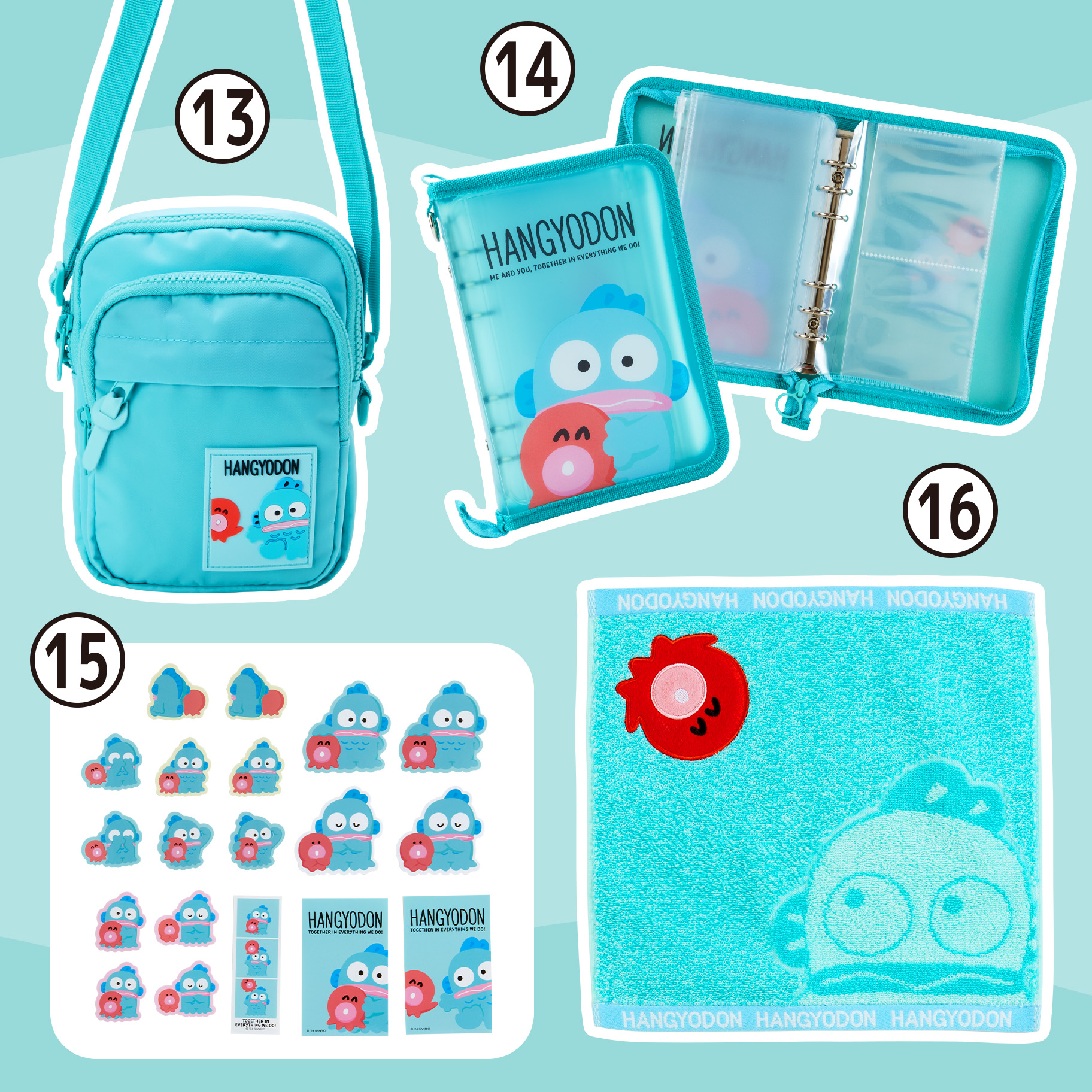 ハンギョドン・バッドばつ丸 いつものふたりデザインシリーズ｜サンリオ